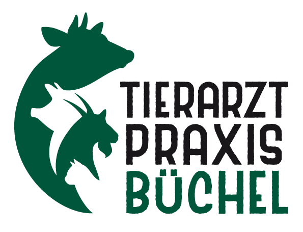 Veterinary practice